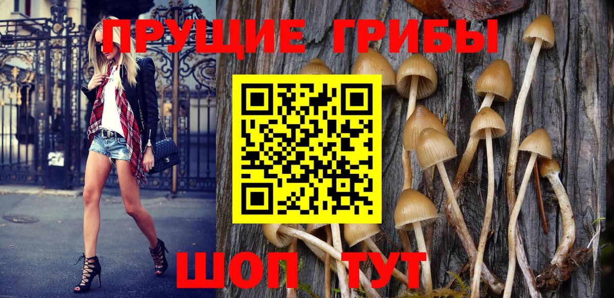 Галлюциногенные грибы MAGIC MUSHROOMS  Вход с VPN  Коряжма 