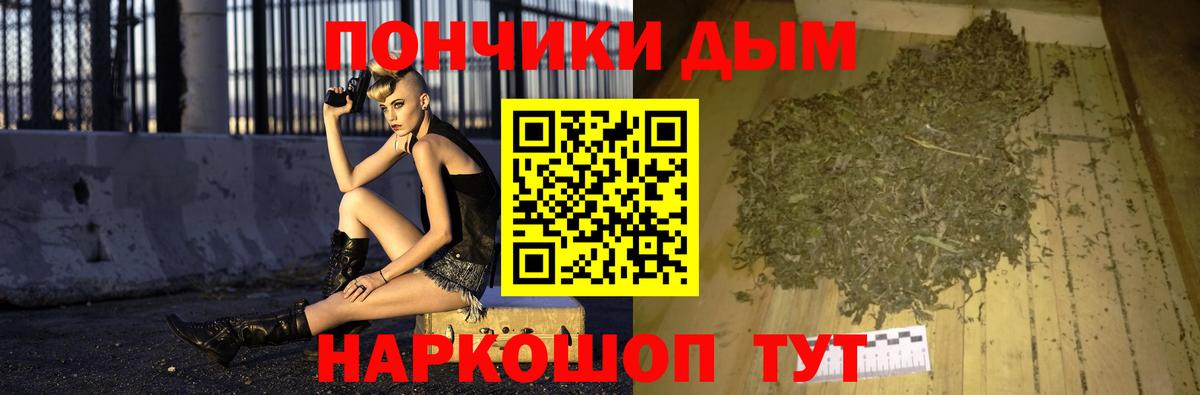 Конопля сатива Коряжма